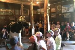 IMG_2626
