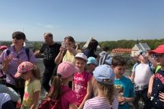 IMG_2419